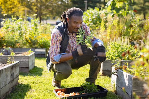 Person working at the Yale Farm