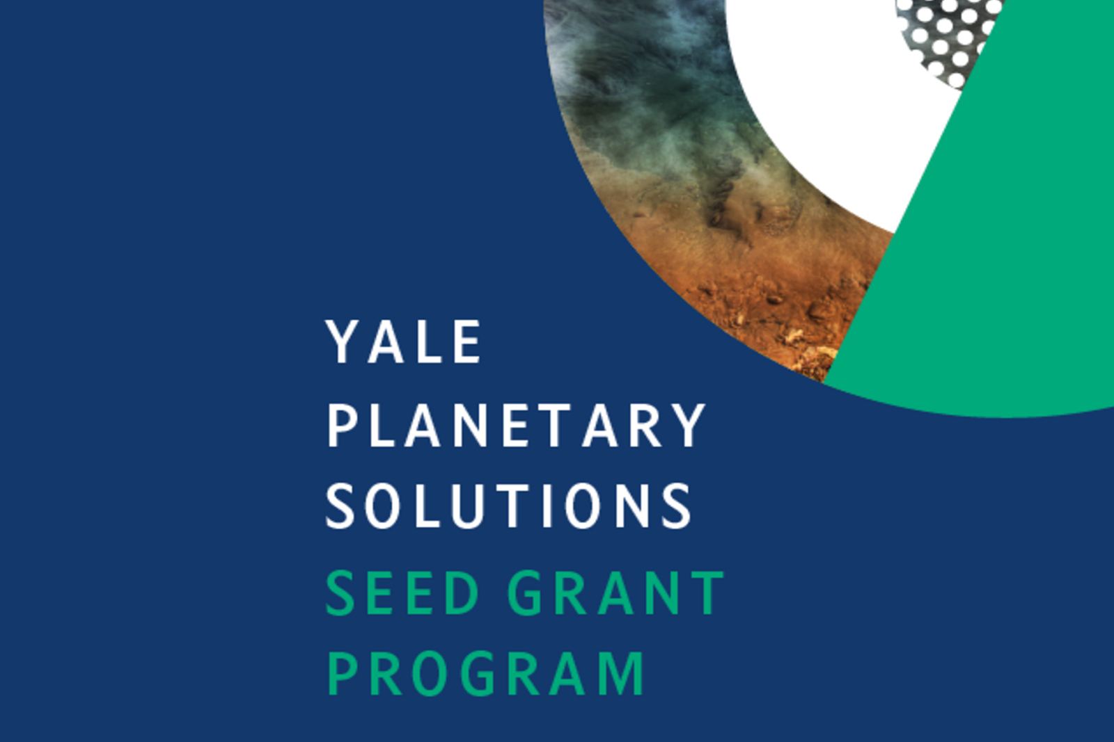 Seed grant image