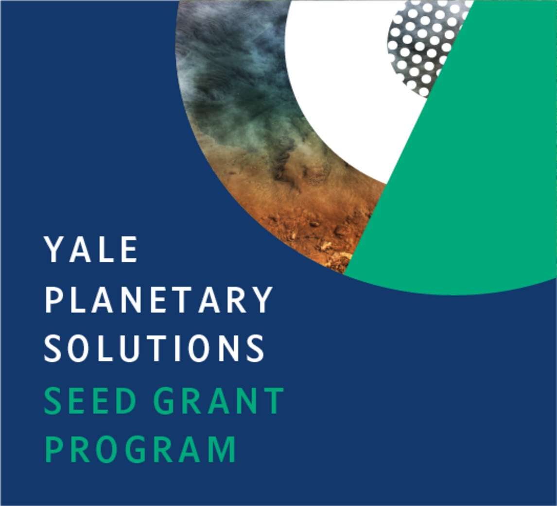 Seed grant image