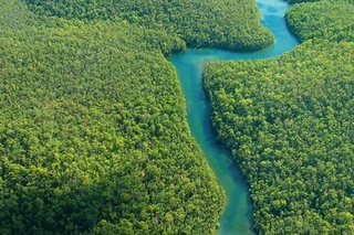 Amazon River aerial view