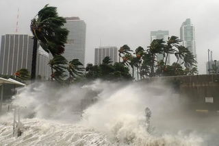Irma