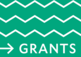 YPS Grant Program