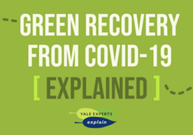 Green recovery from Covid-19 explained
