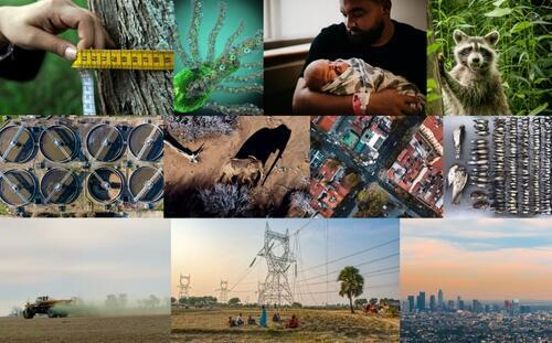 Collage of climate, health and biodiversity-related images